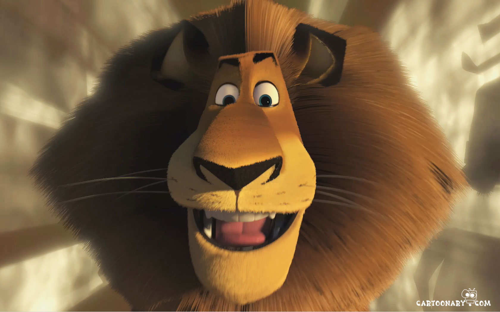 Alex Wallpaper - Alex the Lion Wallpaper (24491239) - Fanpop - Alex Boogers Alleen Met De Goden