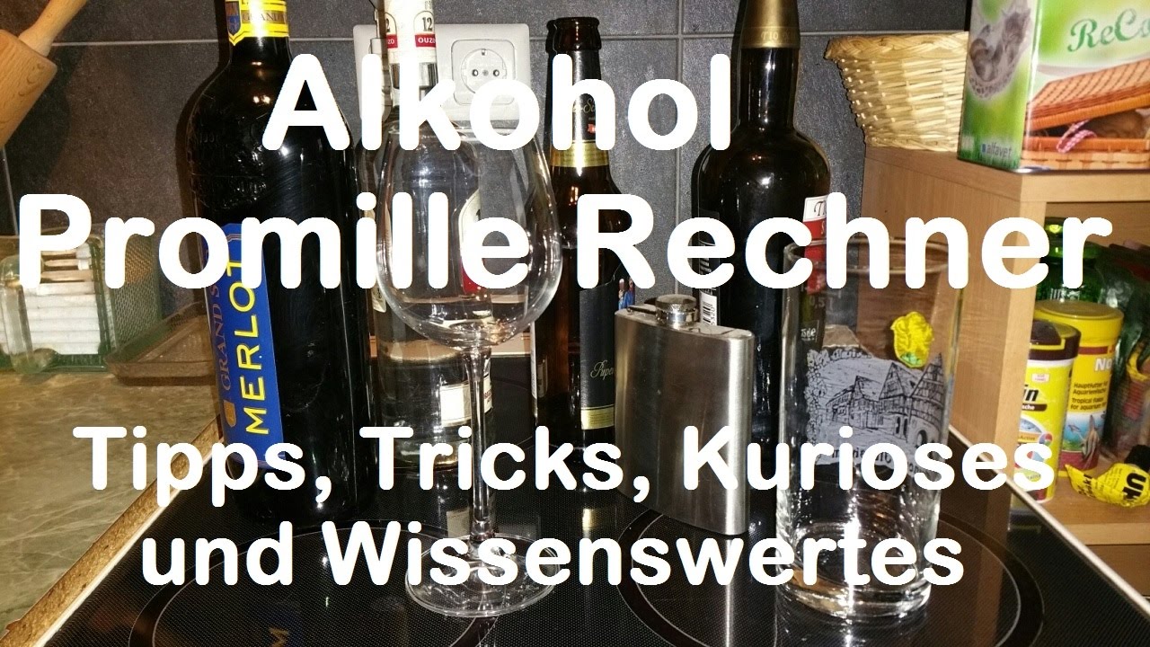 Alkohol Promille Rechner - Alkohol Abbau nach Stunden und Zeit - Hoeveel Promille Is 1 Glas Bier