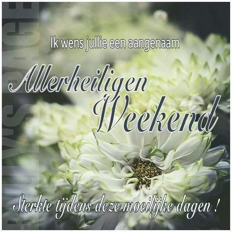 Allerheiligen | Feestdagen, Goedemorgen, Goedemorgencitaten - Is 11 November Een Feestdag