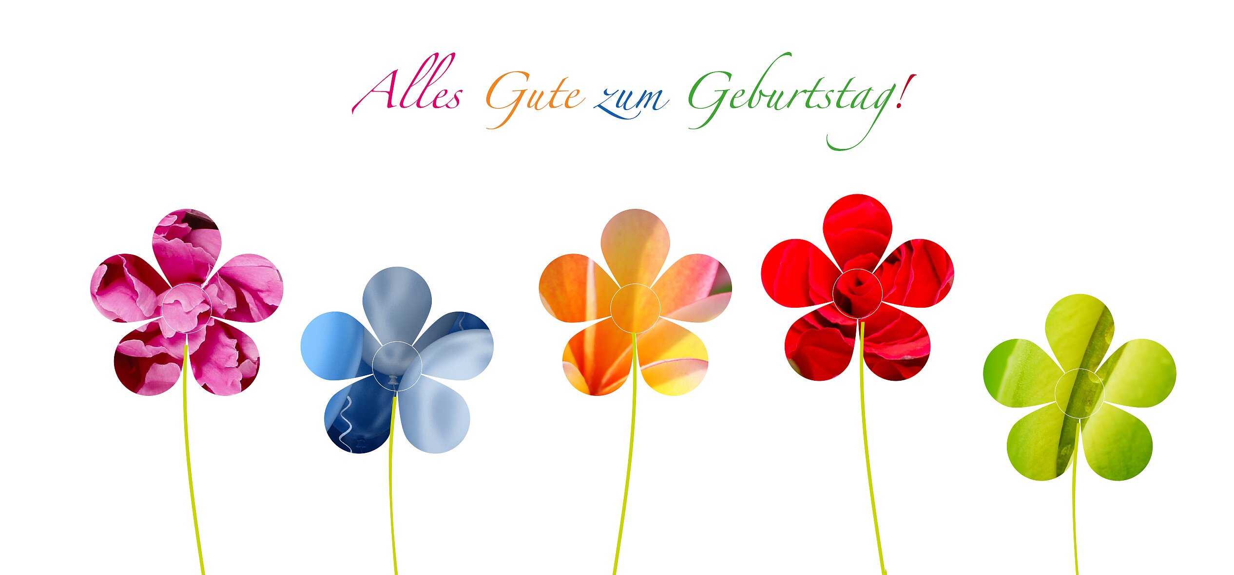 Alles Gute Zum Geburtstag Blumen, Zum... | deutsch geburtstag wünsche - Alles Wat Er Was Thema