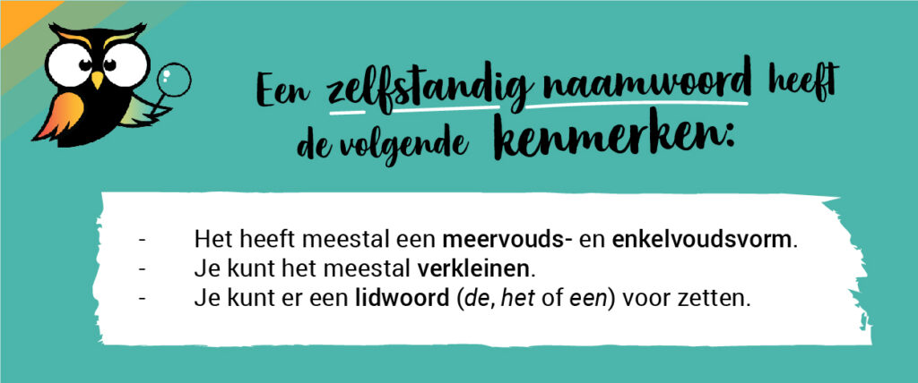 Alles over het zelfstandig naamwoord en lidwoord - Is Jullie Een Zelfstandig Naamwoord