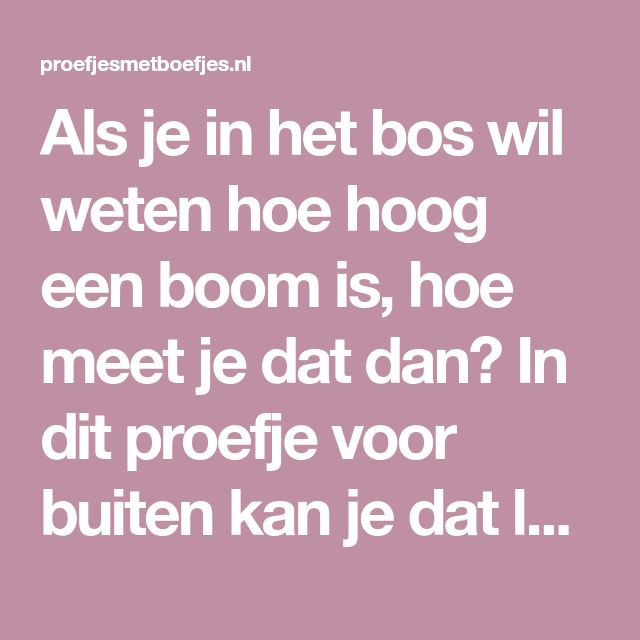 Hoe Hoog Is Een Boom