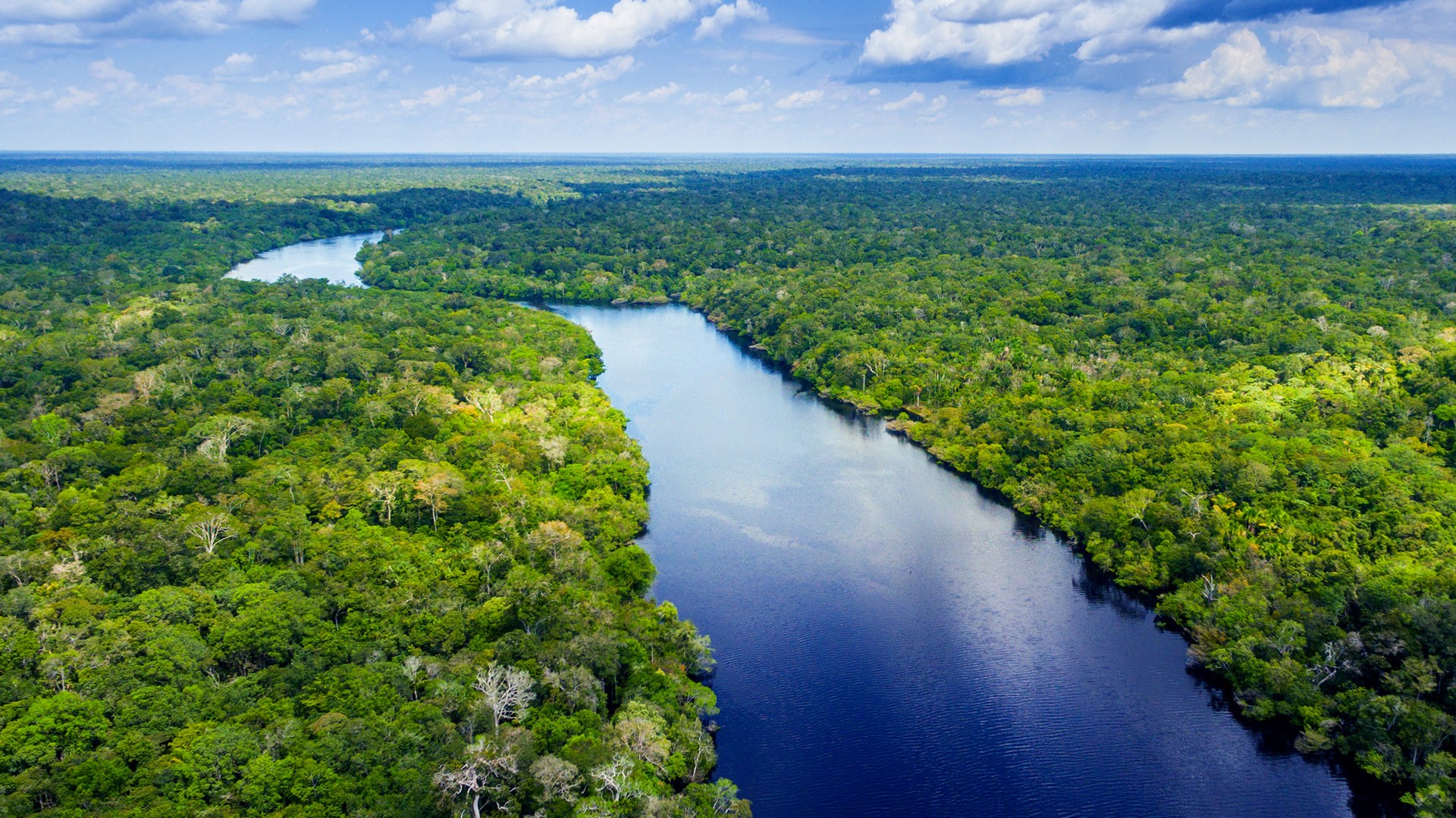 Amazon river in Brazil | Windows Spotlight Images - Hoe Lang Is De Amazone Rivier
