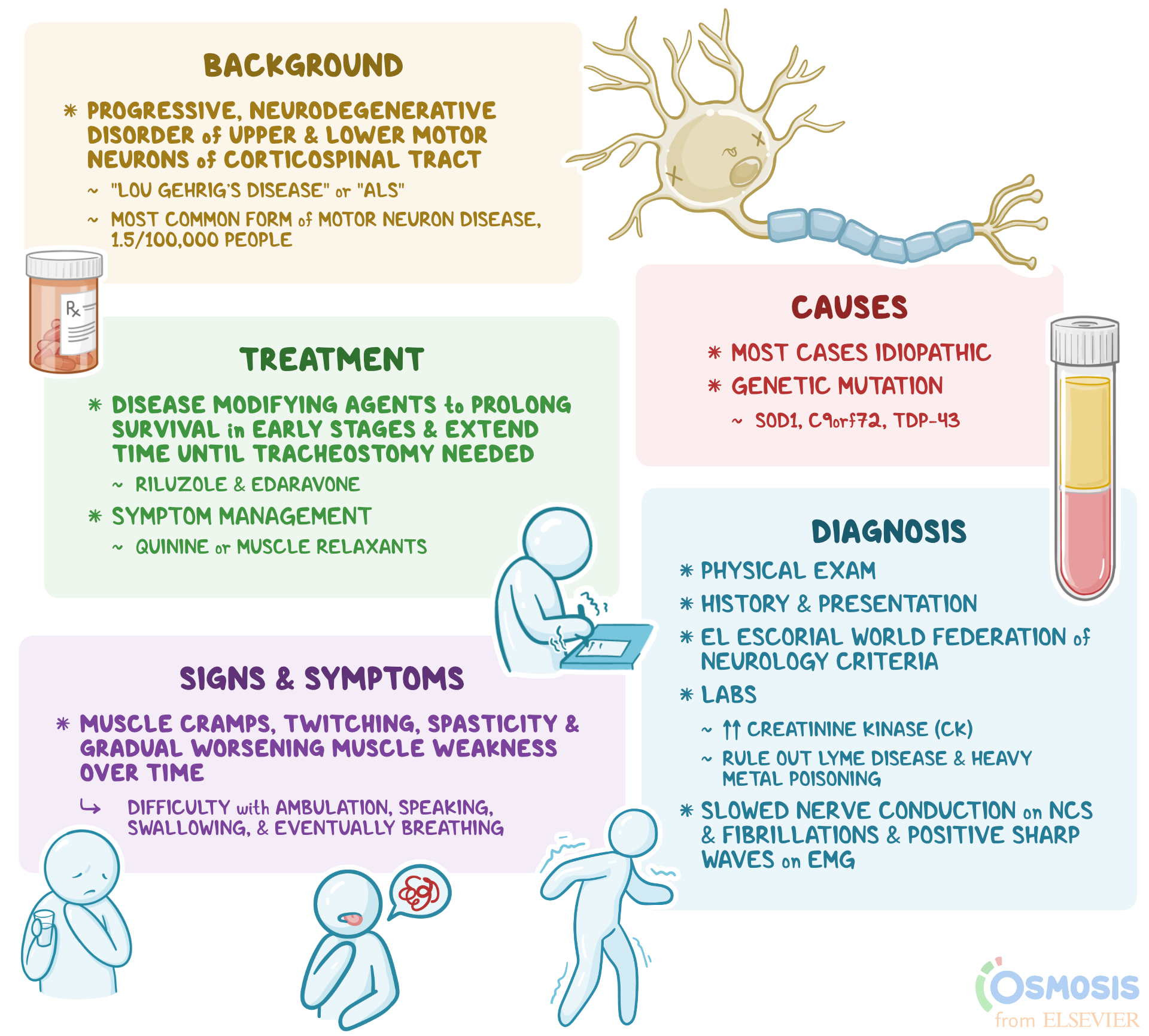 Amyotrophic Lateral Sclerosis (ALS): What Is It, Causes, Treatment, and - Als Je Het Goed Vindt