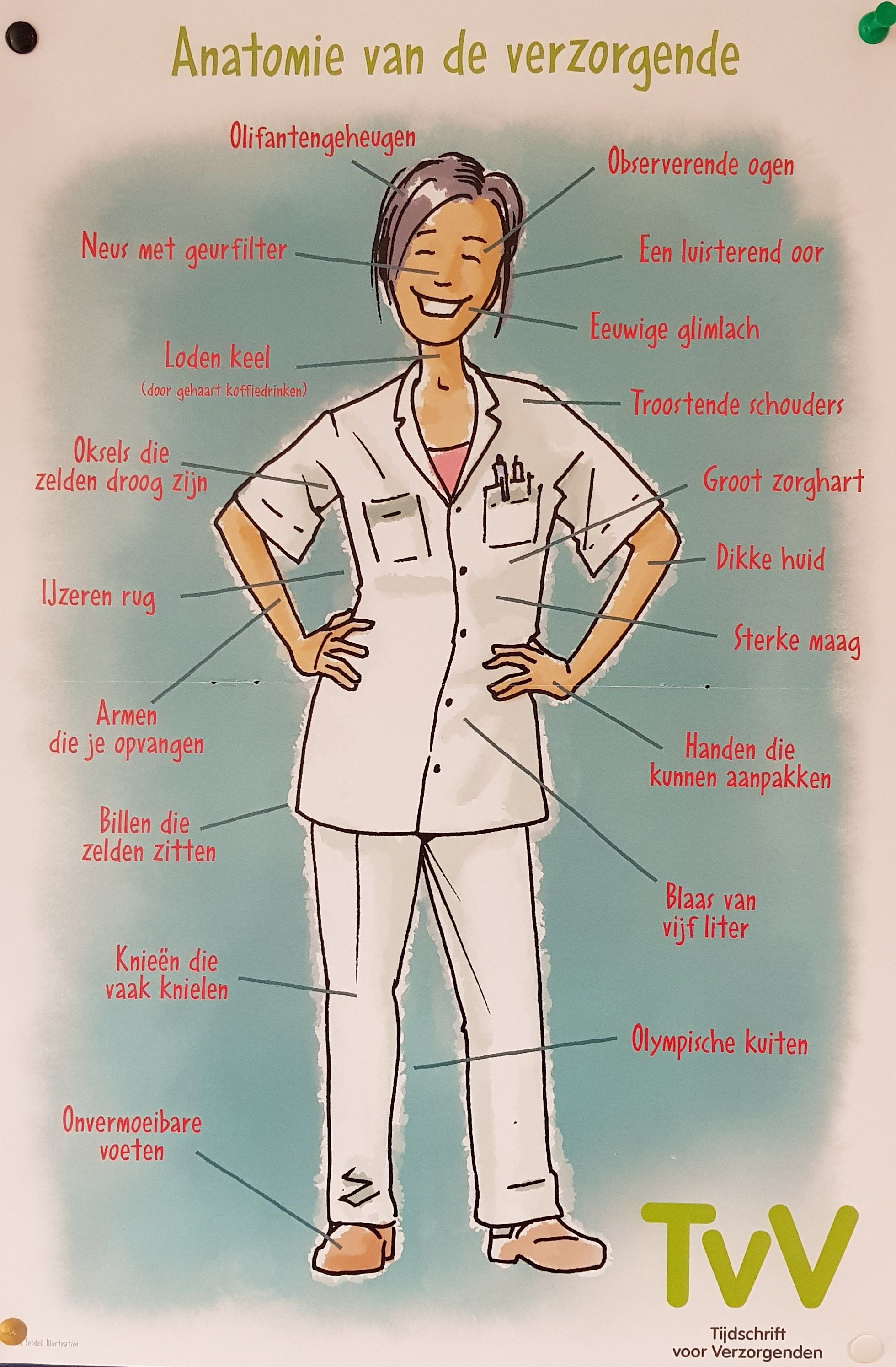 anatomie | anatomie | verzorgende | jolandemooij | Nurse humor - Taken Verzorgende Ig Niveau 3