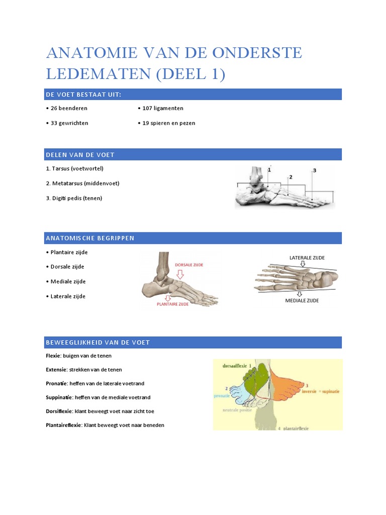 Onderste Deel Van De Oceanen 7 Letters