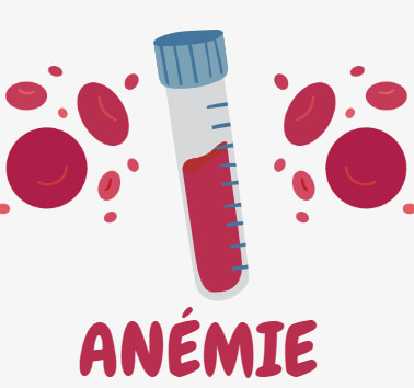 Anémie : Types, Causes, symptômes et implications cliniques - Anemie Protocol Doortesten Bij Verlaagd Hb