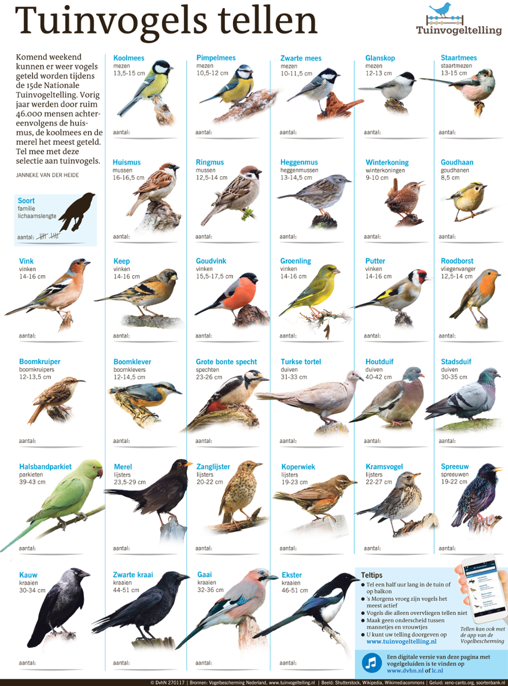 Animals Of The World, Animals And Pets, Cute Animals, Beautiful Birds - Tuinvogels Herkennen Vogels In De Tuin