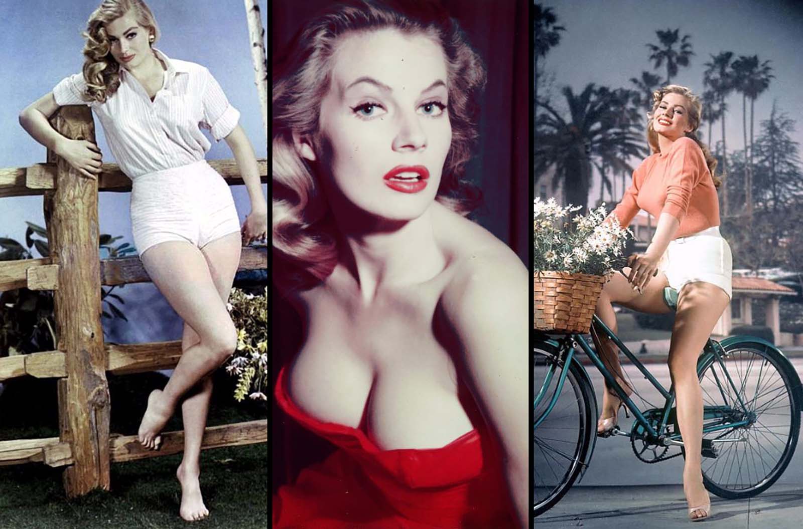 Anita Ekberg: Portrait of a Swedish Icon Through Stunning Photos - Rare - Anita Witzier Ziekte Van Crohn