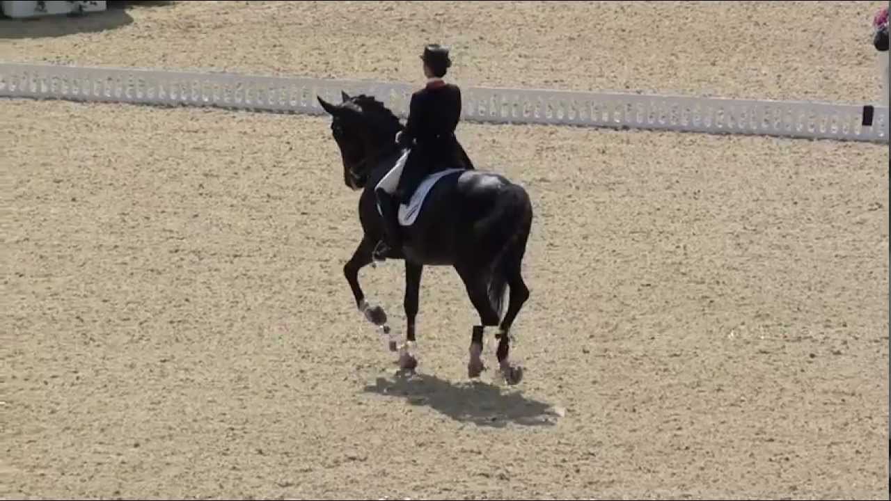 Paarden Anky Van Grunsven Olympische Spelen