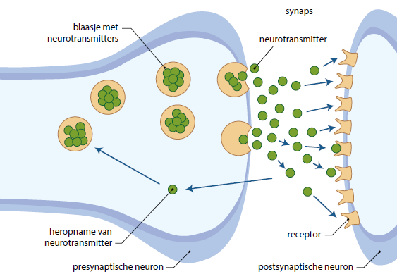 Antidepressiva uitgelicht - Psyfar vs - Wanneer Werkt Antidepressiva Bij Angst