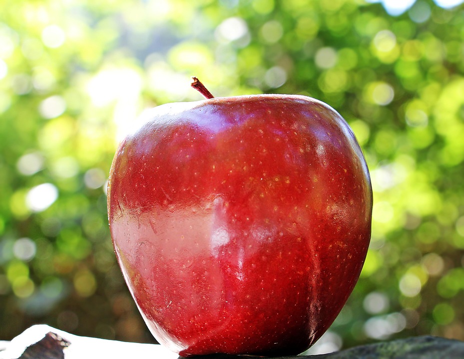 Apple Rode Appel Chief · Gratis foto op Pixabay - Appel Valt Niet Ver Van De Boom
