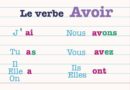 Aprende a conjugar y usar el verbo AVOIR: TENER en español - Haben Sein Werden Verleden Tijd Oefenen