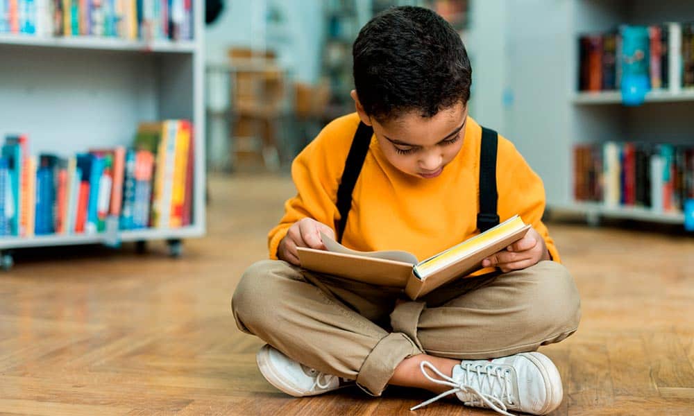Leer Waarvan Een Koetsierstuin Is Gemaakt
