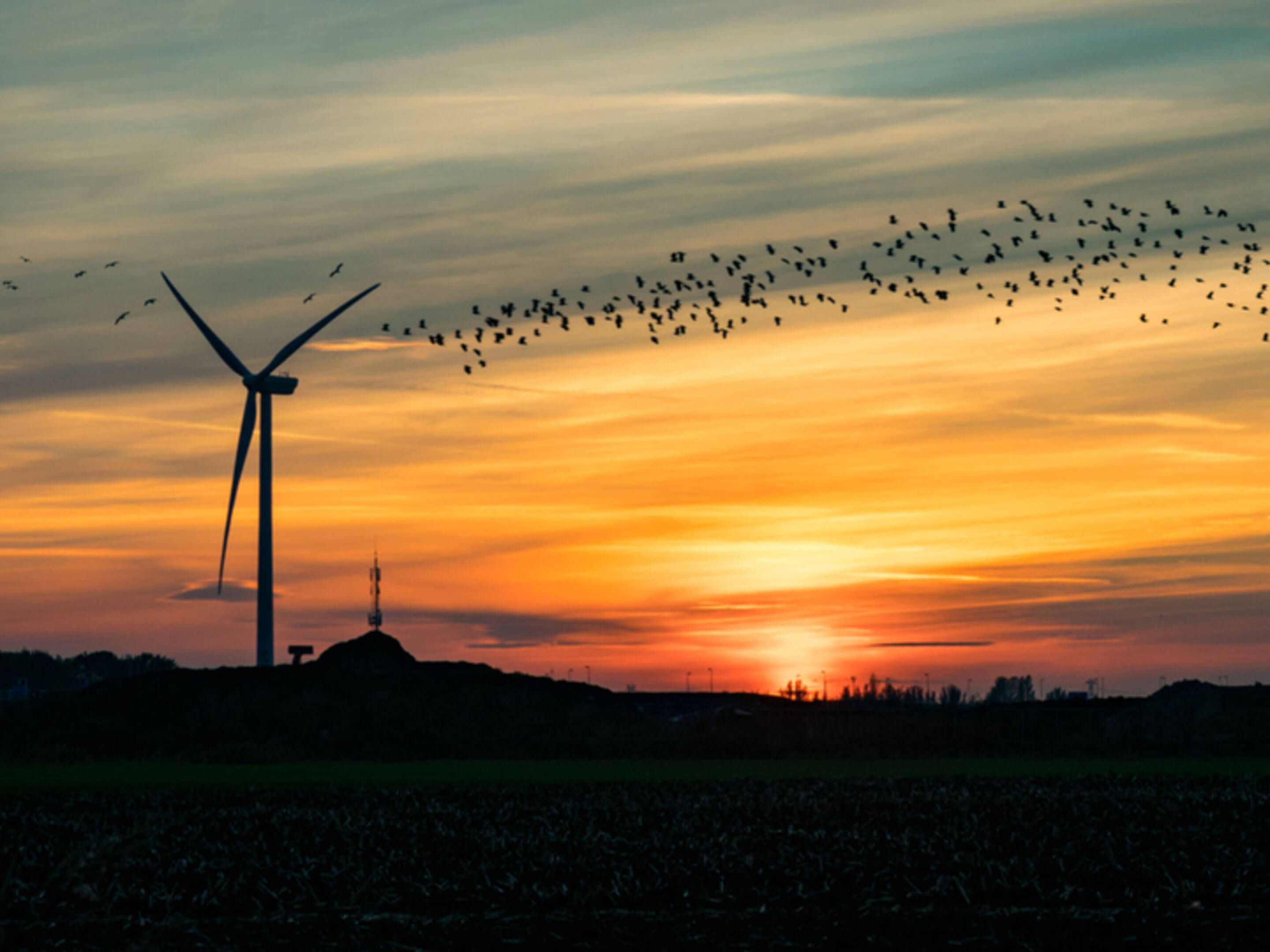 Hoe Lang Is Een Wiek Van Een Windmolen
