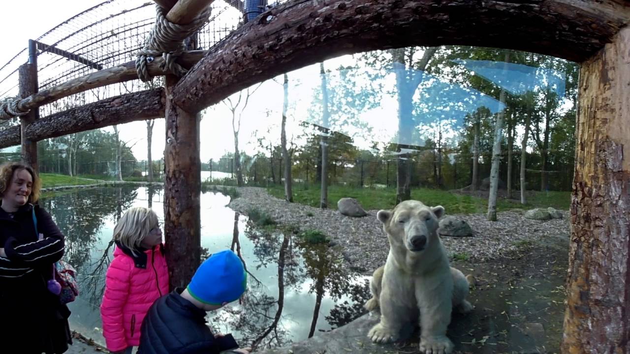 Aquazoo Friesland De Groene Ster Leeuwarden