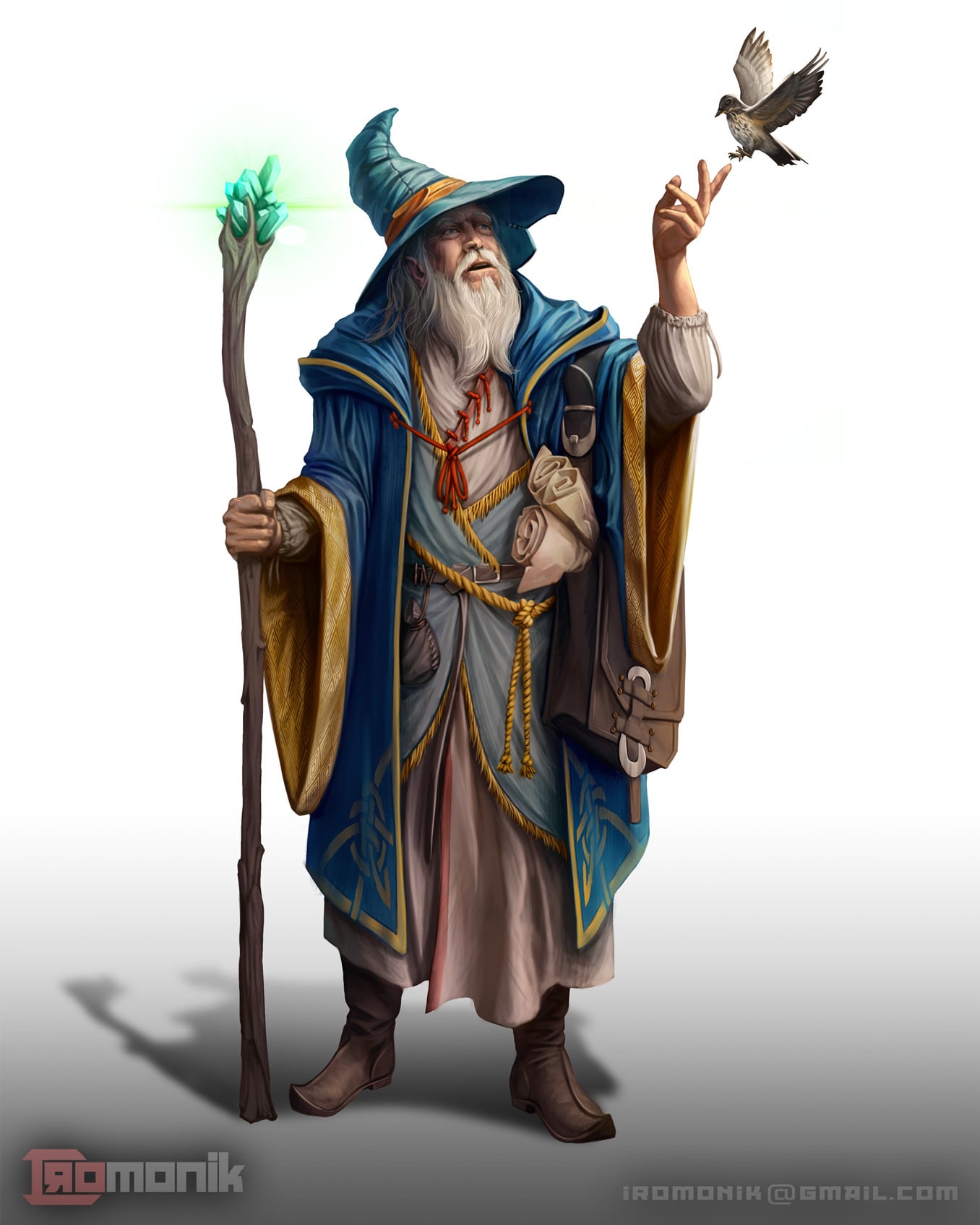 [ART] Human Wizard Character art : DungeonsAndDragons - Wizard Of Oz Wizard Of Oz Wizard Of Oz