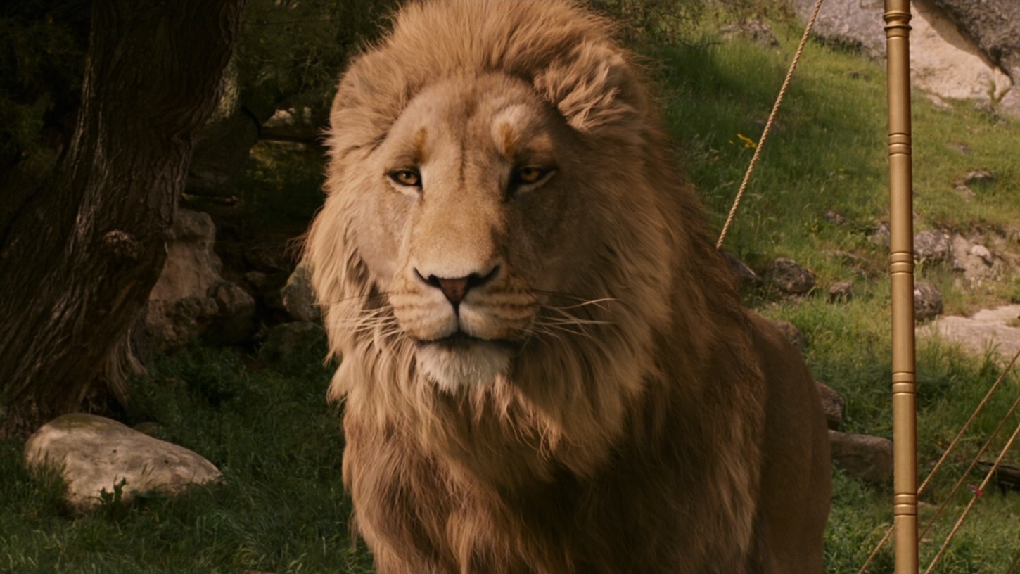 Aslan - DisneyWiki - Aslan The Lion The Witch And The Wardrobe