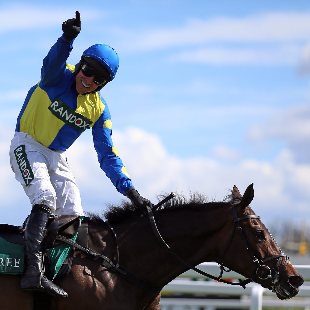 At The Races on Twitter: "He's done it! Langer Dan gets his # - Een Been Langer Dan Andere