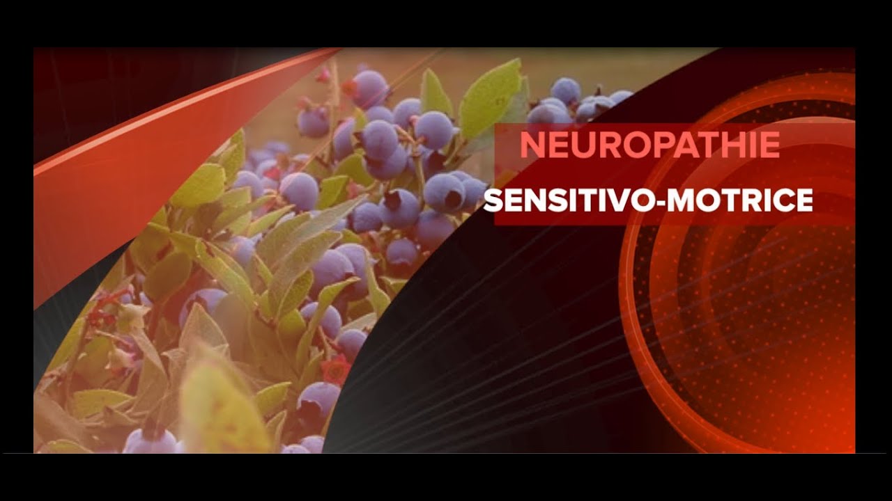Avez-vous envie d'en savoir davantage sur la neuropathie - Hereditaire Motorische En Sensorische Neuropathie