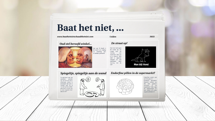 Baat het niet, dan schaadt het niet by Ivo Haas - Baat Het Niet Dan Schaadt Het Niet Betekenis