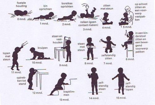 Baby en peuter Lichamelijke ontwikkeling | Baby development, Child - Lichamelijke En Motorische Ontwikkeling Peuter