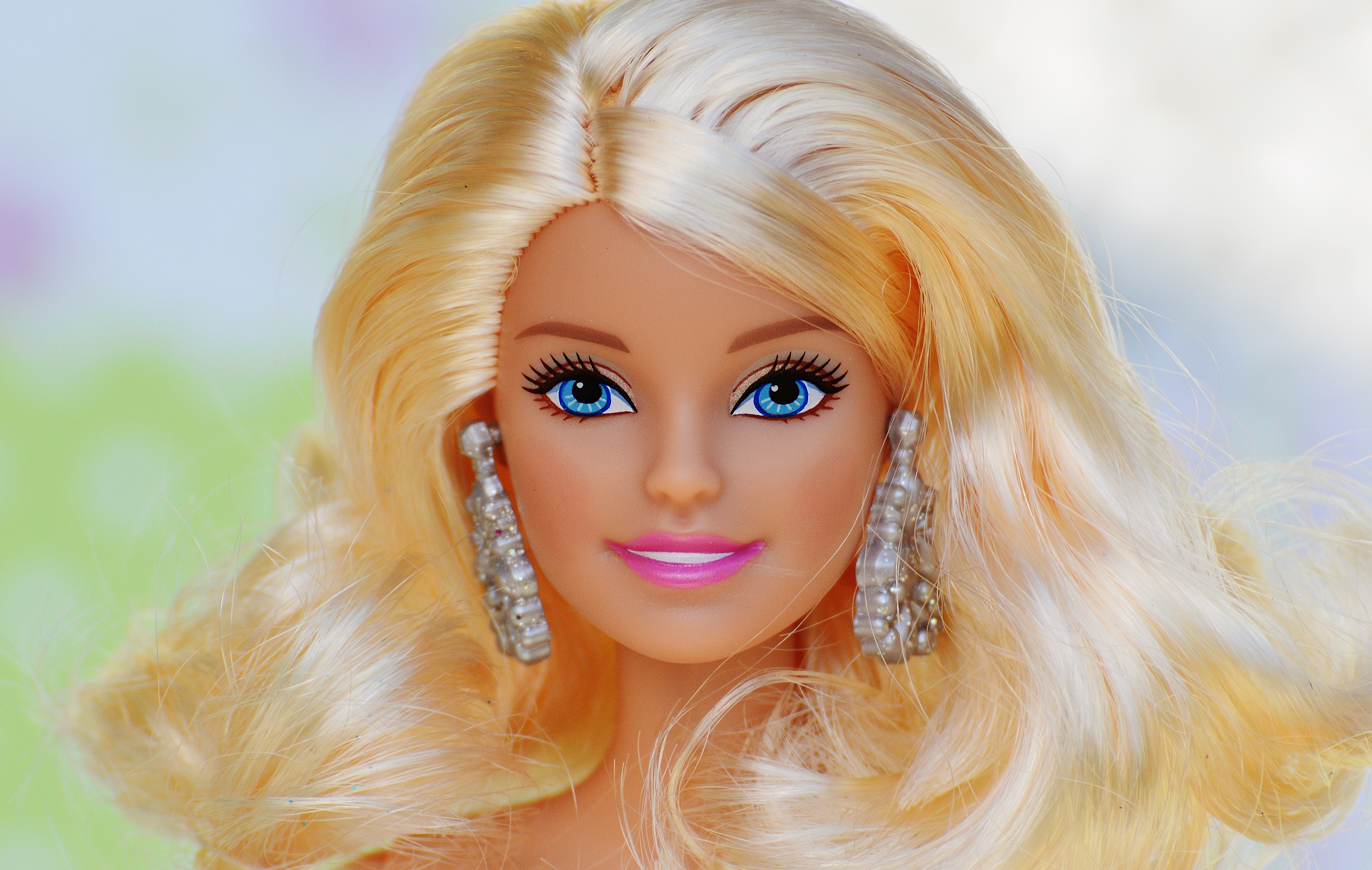 Barbie De Prinses En De Popster