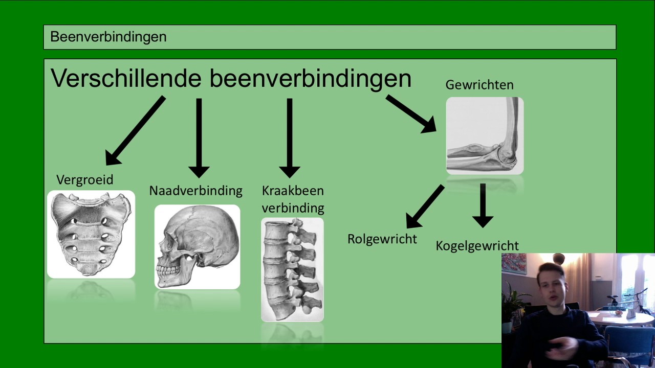 Hoe Heten De Beenverbindingen In Je Hand