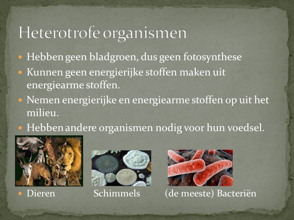Fysiologische Levensbehoefte Van Heterotrofe Organismen