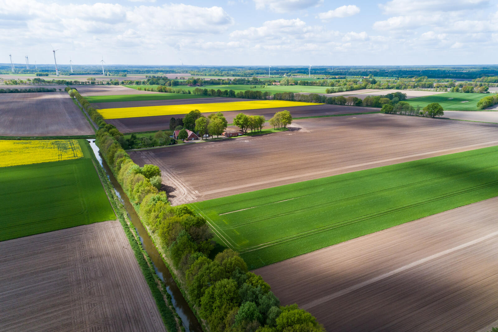 Bauernland in Staatshand: Enteignung landwirtschaftlicher Flächen - Land Met De Langste Mannen Ter Wereld