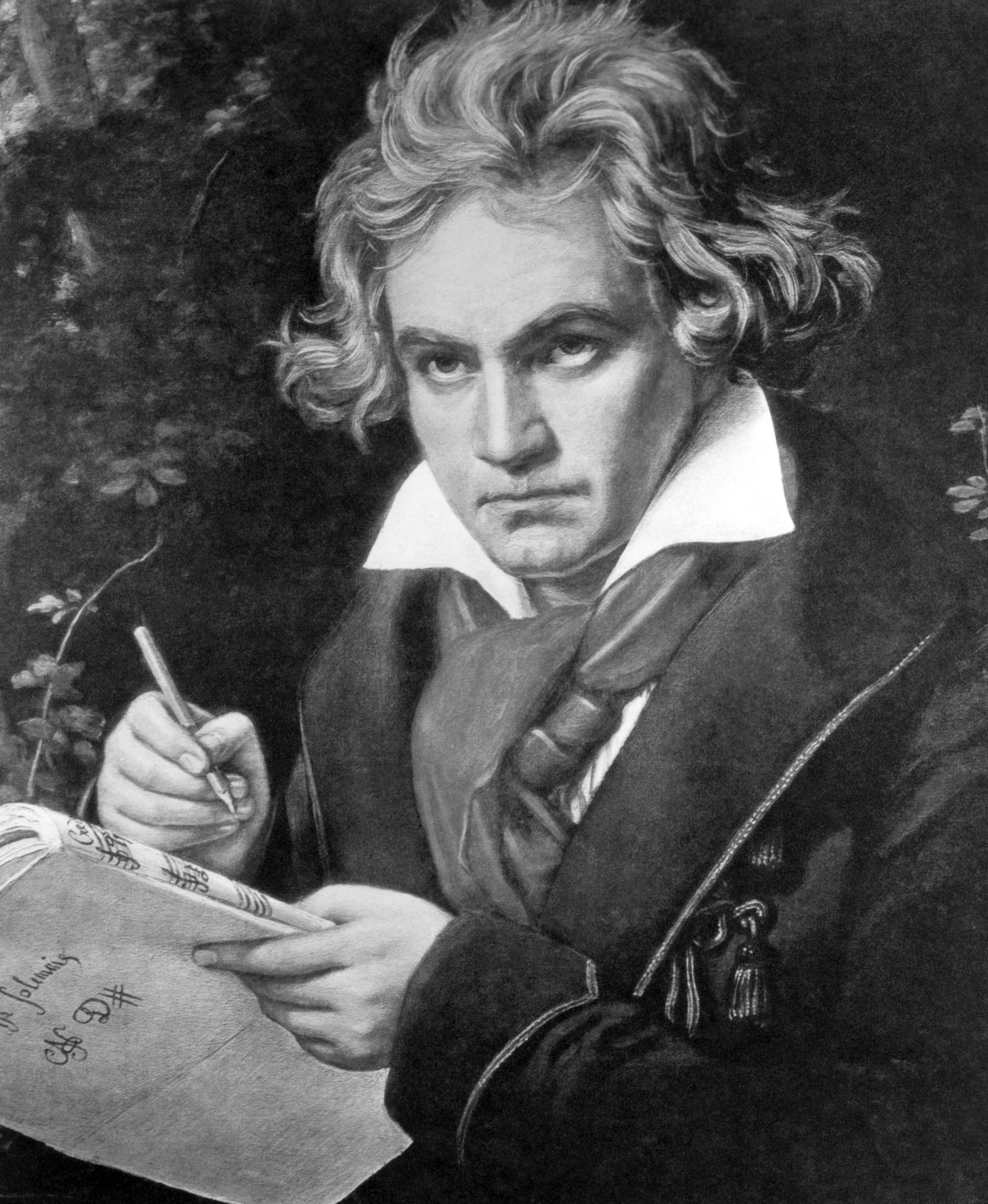 Beethoven - InfoEscola - Beethoven Is Meer Dan Een Hond