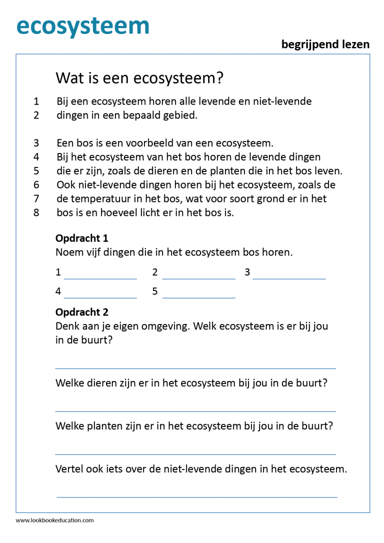 Begrijpend Lezen | Werkbladen groep 1 t/m 4 - LookbookEducation.com/nl - Oefenen Begrijpend Lezen Cito Groep 8