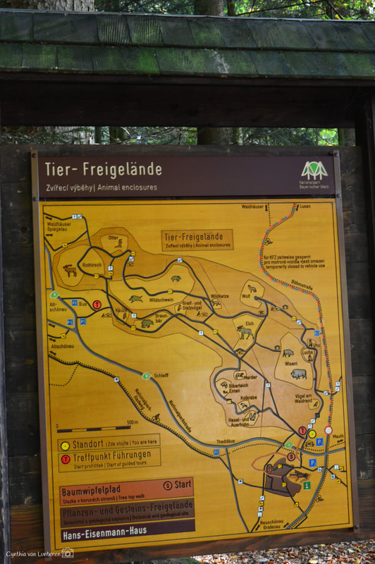 Beierse Woud - Rivier Bohemer Woud Naar Beierse Woud 5 Letters