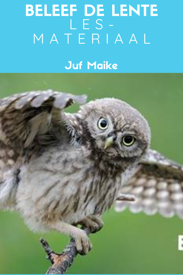 Beleef de lente met materiaal • Juf Maike | Vogels, Dieren, Kerkuilen - Vogelbescherming Webcam Beleef De Lente