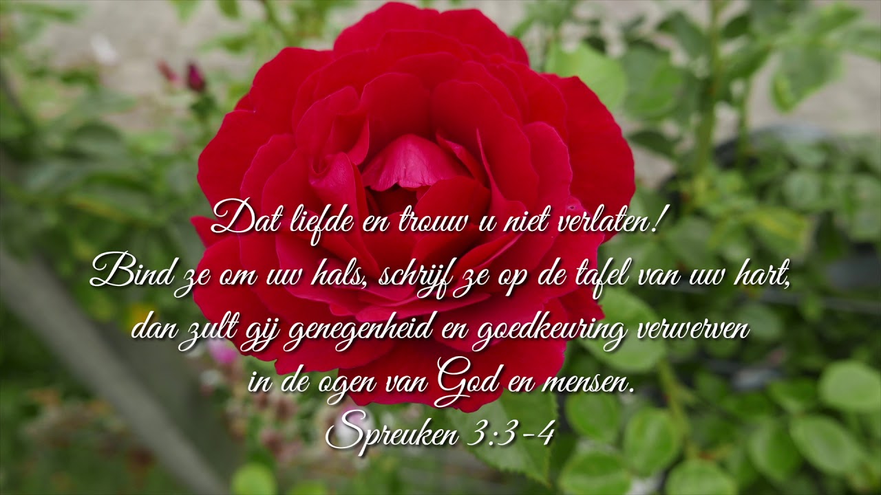 Bemoedigende Bijbelteksten - YouTube - Bijbeltekst Liefde Man En Vrouw
