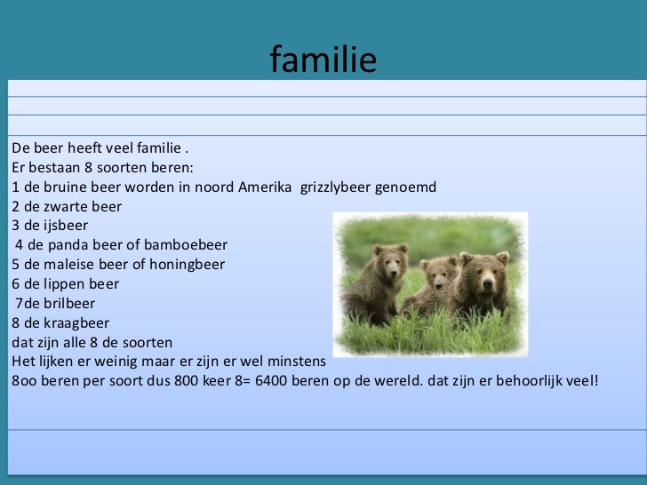 Zijn Er Beren In Oostenrijk