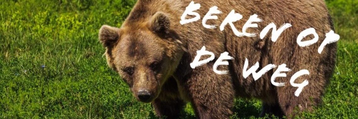 Beren op de weg - Yoors - Beren Op De Weg Zien Betekenis