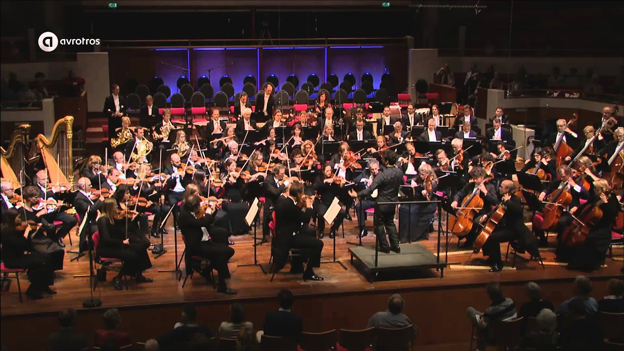 Eerste Violist Van Een Orkest