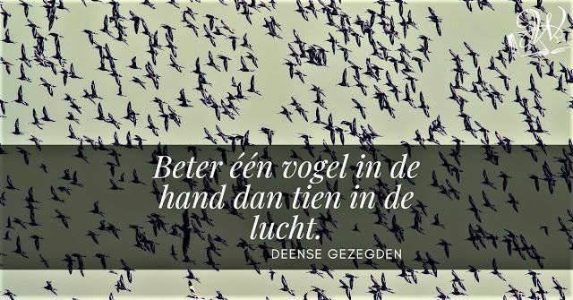 Beter één vogel in de hand, dan tien in de lucht | Heartache, Proverbs - Beter 1 Vogel In De Hand Dan 10in De Lucht