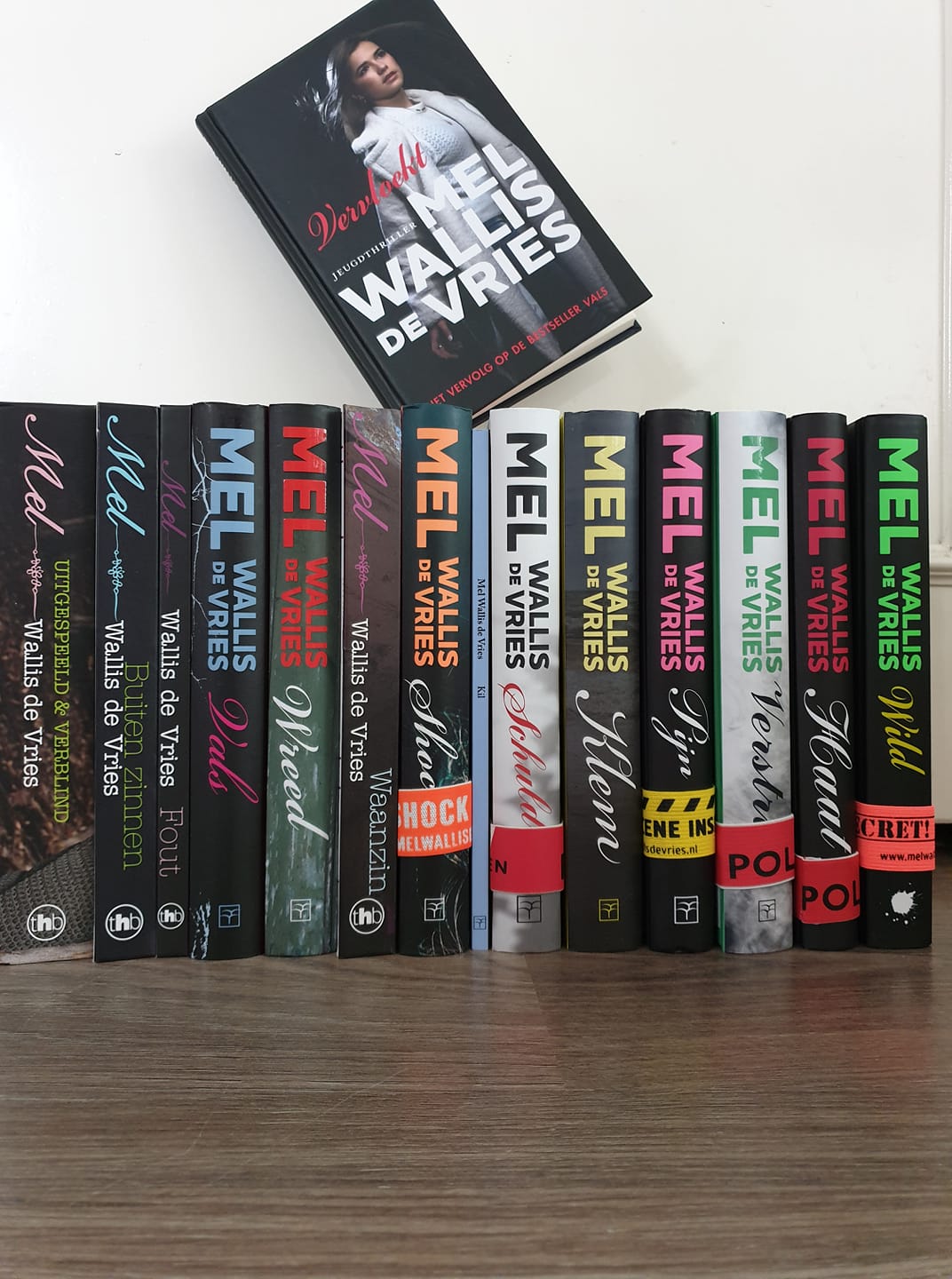 Bezeten Boeken | Hét online magazine voor boekenfans en leesfanaten! - Vlucht - Mel Wallis De Vries Samenvatting
