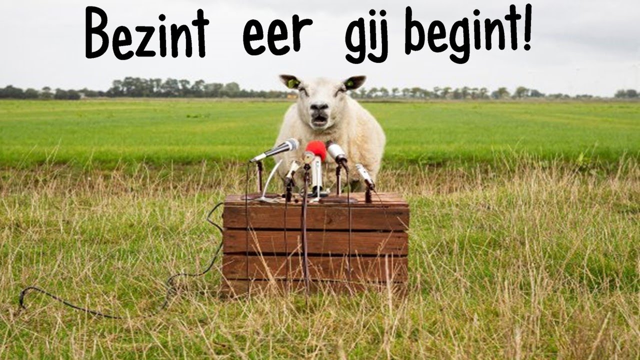 Bezint eer gij begint - YouTube - Bezint Eer Ge Begint Betekenis