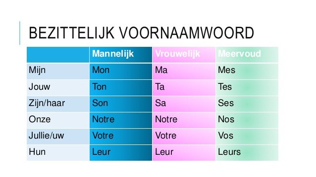 Bezittelijk voornaamwoord klas 3 - Het Bestuur Mannelijk Of Vrouwelijk