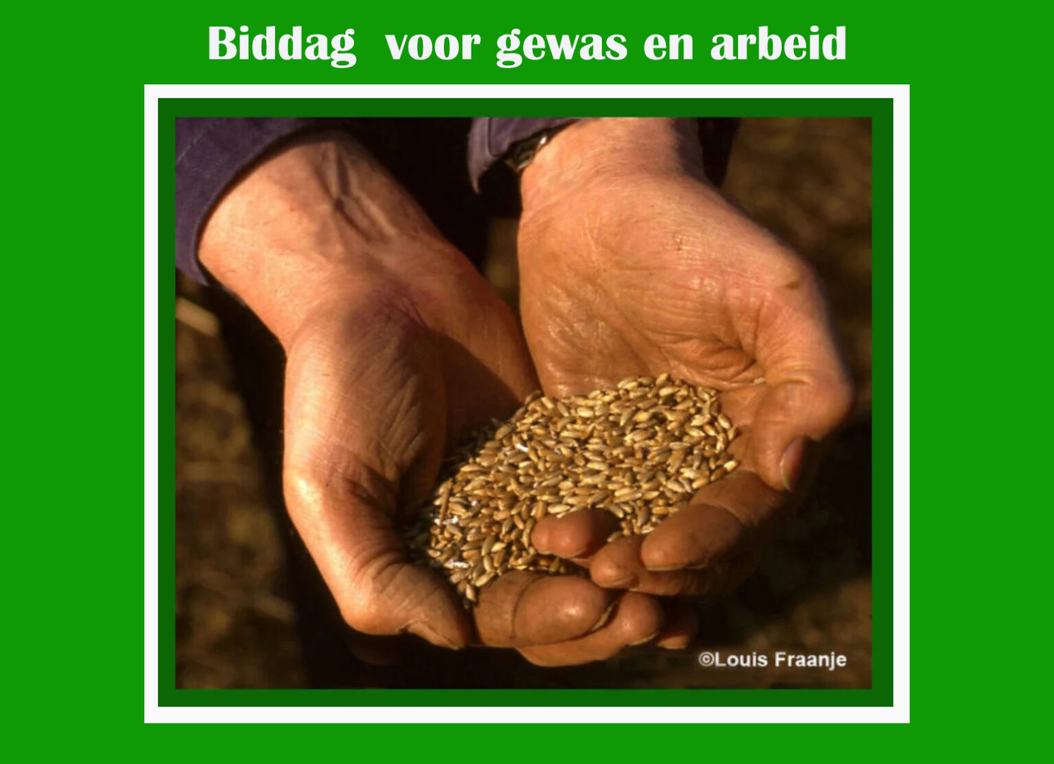 Biddag 2024 Copyright Louis Fraanje Ede Veluwe - De Veluwenaar - Biddag Gewas En Arbeid