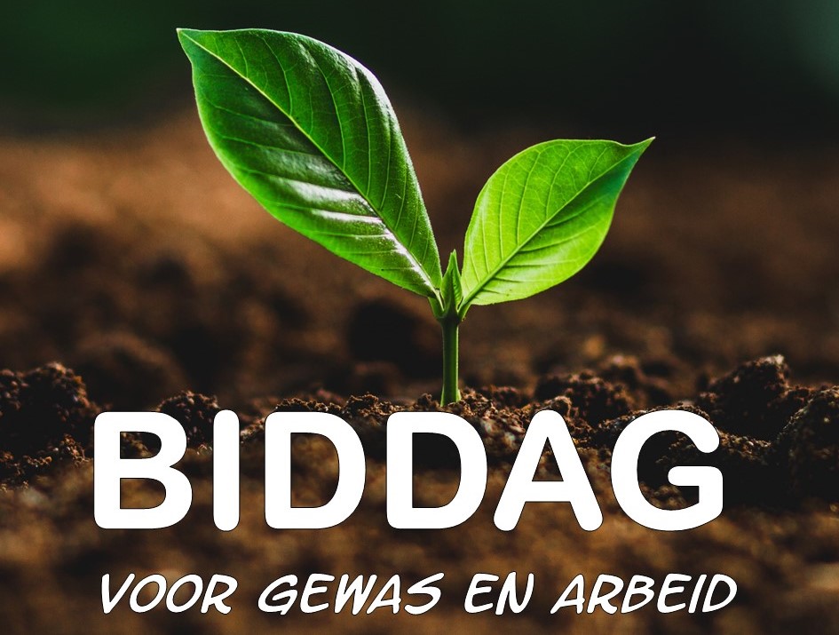 Biddag voor gewas en arbeid 2023 | Geloven in de Stad - Bid En Dankdag 2025