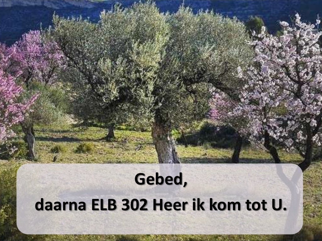 Biddag voor gewas en arbeid - Biddag Voor Gewas En Arbeid