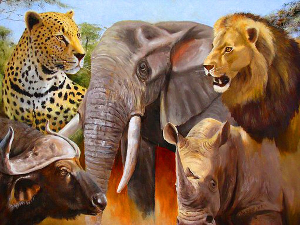 Big Five Animals Images - Welke Dieren Vormen De Big Five