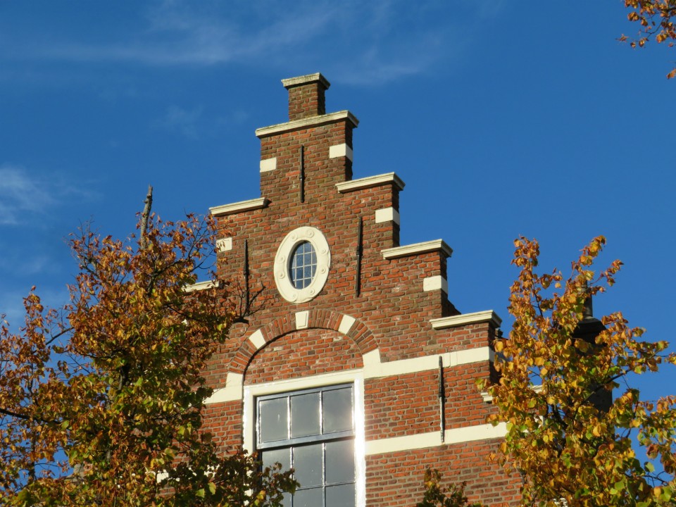 Bij De Wilde Spinnen Af