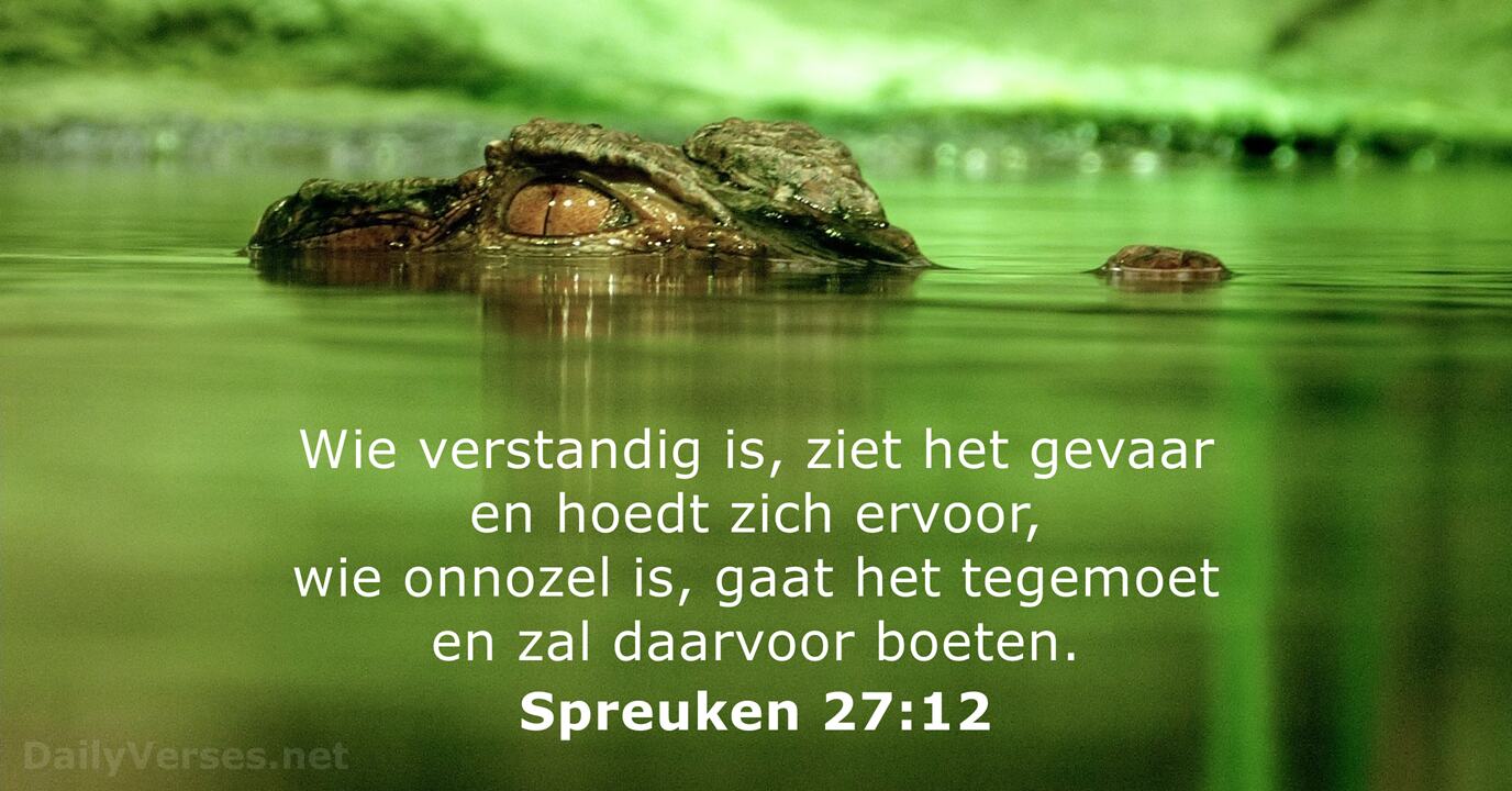 Bijbeltekst Van De Dag - Bijbelspreuk Van De Dag