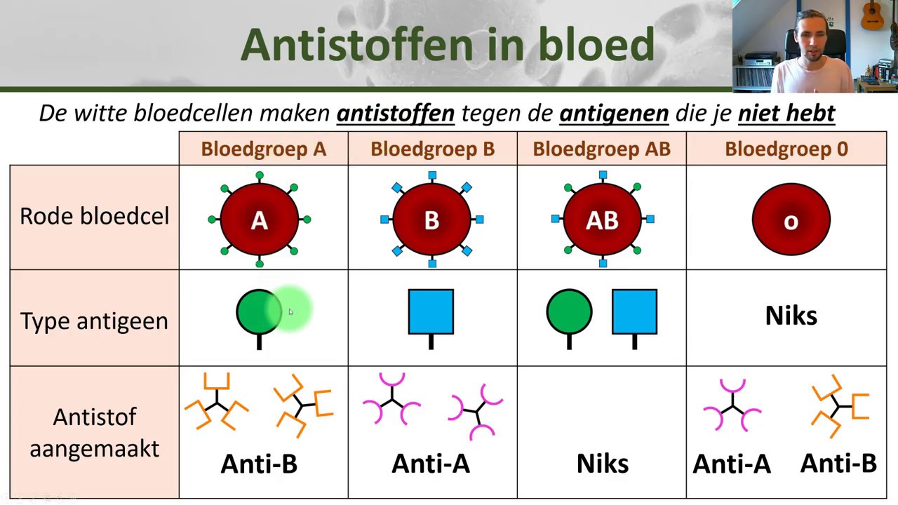 Bio - Bloedgroepen en bloedtransfusie - Gezondheid #10 - YouTube - Hoeveel Giften Mag Je Ontvangen
