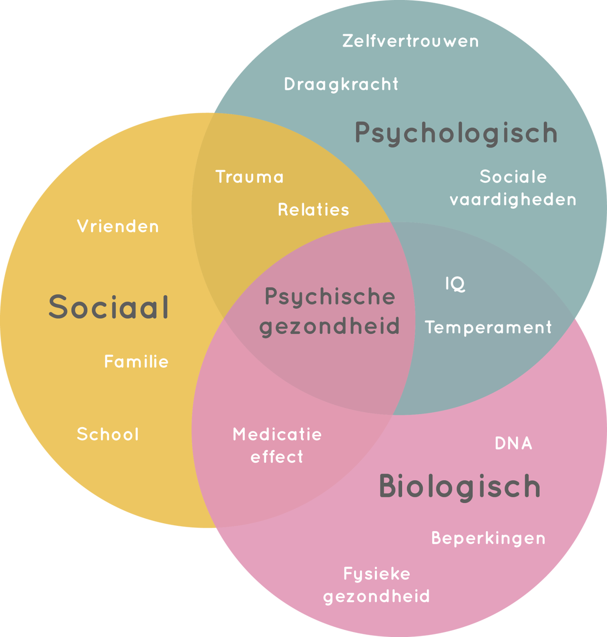 Bio-psycho-sociaal model / Wat is PMT? / Praktische informatie | PMT - Praktische Psychologie Voor Sociaal Werk